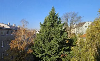 Geräumige, sonnige  3-Zimmer Wohnung mit  Loggia