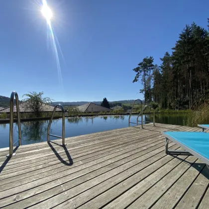 Ein einzigartiges PARADIES-Naturpool-direkt am Waldesrand - Bild 3