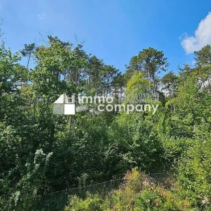 TRAUMWOHNUNG mit Garage und Klimaanlage in Enzesfeld-Lindabrunn - Bild 2