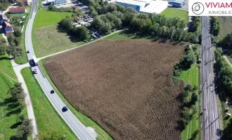 Betriebsbaugrundstück (B) I 24.000 m²​​​​​​​ I ideale Verkehrsanbindung I Baubewilligung bereits vorhanden!