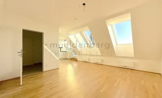 Stilvolle Dachgeschoßwohnung nahe der alten Donau mit 3 Terrassen!