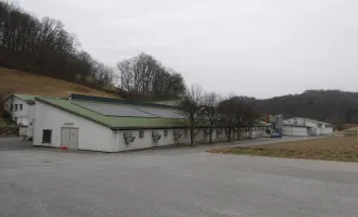 Ehem. Geflügelhof in Kapfenstein!