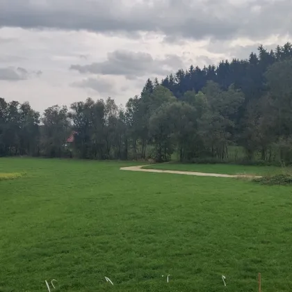 Ihr Rückzugsort im Grünen: Baugrundstück in Teuflau, Andorf. - Bild 2