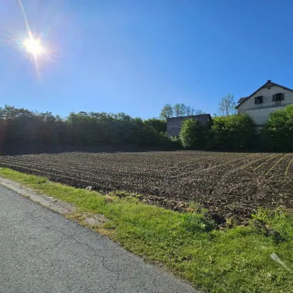 Super Gelegenheit! Traumhaftes Bauträgergrundstück mit attraktiver Planstudie in Stainz: Verwirklichen Sie Ihr Traumprojekt in Top-Lage" Gleich Anfragen! - Bild 3