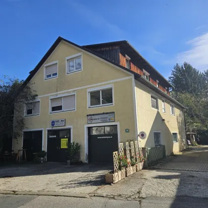 Günstige 2 Zimmerwohnung ca.44m² mit Carport in Graz Eggenberg - Bild 3