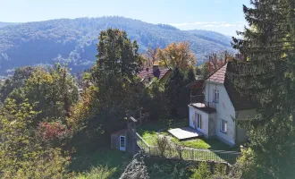 Sonniger Osthang mit Althaus in erhöhter, ruhiger Traumlage am Waldrand