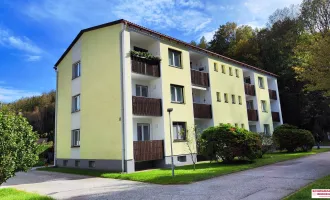 Wohnen in Payerbach - Gemütliche EG-Wohnung mit Loggia für nur 90.000,00 €!