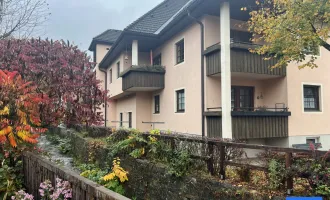 3 Zimmerwohnung in der Norischen Region von Kärnten