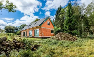 LIPNO REAL: Neubau eines Einfamilienhauses am Waldrand in wunderschöner Natur