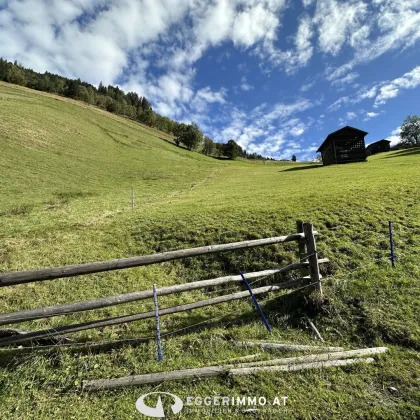 Land- und Forstwirtschaft (ca. 11,9 ha) mit gesamter Hofstätte in ruhiger Lage von Rauris zu verkaufen - Bild 2