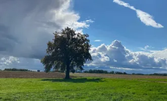 K3 - Nähe Bad Füssing gelegene Landwirtschaft mit ca. 15ha und Alleinlage