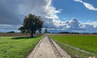 K3 - Nähe Bad Füssing gelegene Landwirtschaft mit ca. 15ha und Alleinlage