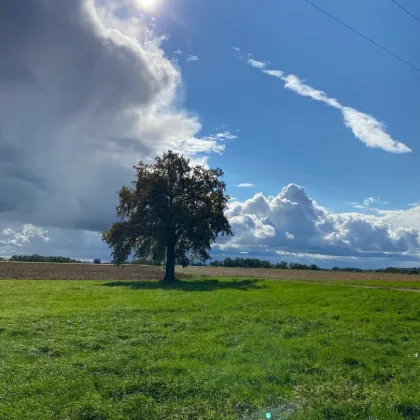 K3 - Nähe Bad Füssing gelegene Landwirtschaft mit ca. 15ha und Alleinlage - Bild 2