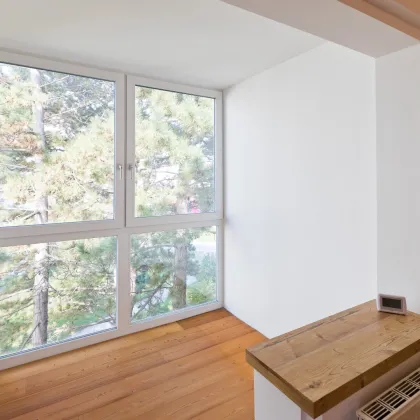 Gemütliche renovierte 3 Zimmerwohnung mit Loggia und Grünblick in Wiener Neudorf - Bild 2