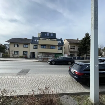 Leben in Essling- Neubau Wohnprojekt im 22. Bezirk Erstbezug - Bild 3