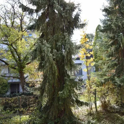 Beim Streckerpark - Sonnige, ruhige Wohnung einfach zum Wohlfühlen! Blick ins Grüne! - Bild 2