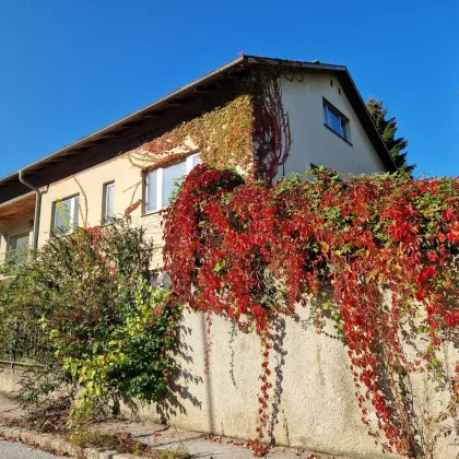 Ein ZUHAUSE für die ganze Familie - zentrale Lage Kierling - Bild 3