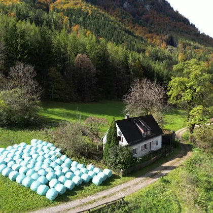 Romantisches Cottage in Alleinlage auf 5.555 m² Grund mit großzügigem Holzbezugsrecht - Bild 3