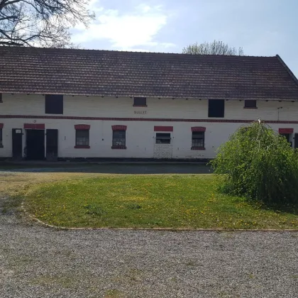 Haus mit Pferdestallungen in absoluter Grünruhelage Nähe Groß-Enzersdorf - Auch für Bauträger geeignet. - Bild 2