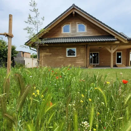 Wohnen mit hoher Lebensqualität! Gesund, Ökologisch und CO2 bewusst - Bild 2