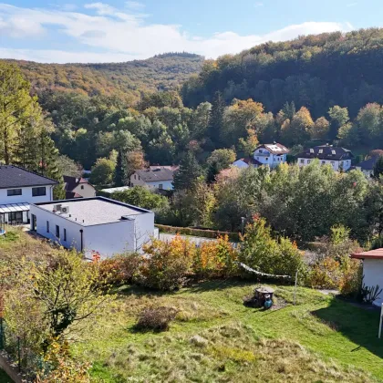 Sonniges Baugrundstück im traumhafter Südlage in Pressbaum - Bild 3