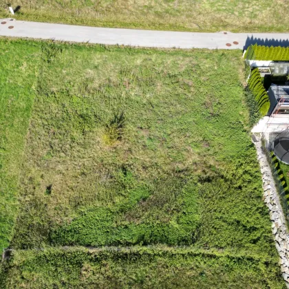 Traumhaftes Grundstück in Haibach im Mühlkreis – 810 m² mit Waldblick und Top-Anbindung - Bild 2