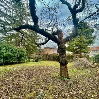 BAU-GRUNDSTÜCK-EIGENHEIM mit herrlichen EIGENGRUND - renovierungsbedürftiges / Abriss - HAUS - ROSEGGERSIEDLUNG-VÖSSENDORF ! - Bild 3