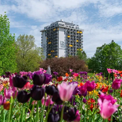 13. Stock mit Riesenbalkon - TABA Tower direkt an der U1 Oberlaa! - Bild 2