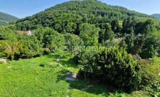 Willkommen in Mühldorf, in der Wachau! mit Herbstaktion - Sonderpreis!!!