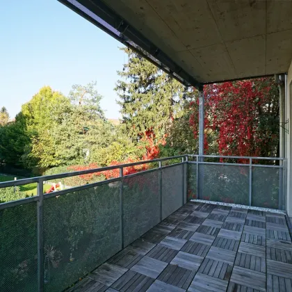 Innerhalb VOR Kernzone! Überdurchschnittlich große Familienwohnung mit Balkon beim Naturpark - Bild 3