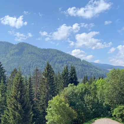 Modernes Wohnen mit schönem Ausblick ins Grüne mitten in den Alpen: Erstbezug mit Terrasse, 3 Zimmern, 2 Bädern in 1. DG. - Bild 3