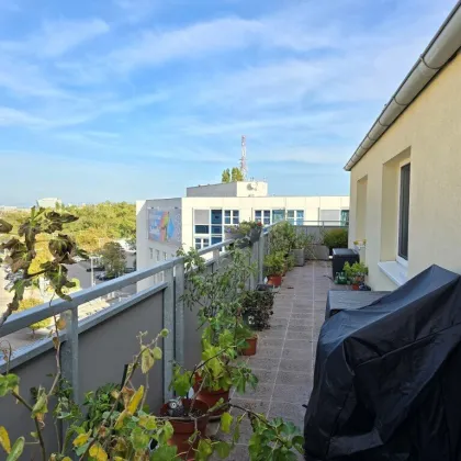 Terrassenwohnung Nähe SCN, KH Nord - Bild 2