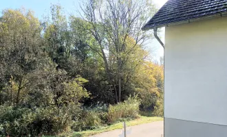 ALLEINLAGE - NATUR PUR Landhaus-Ferienhaus in Ruhelage mit Nebengebäude