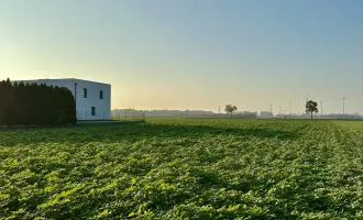 VOLLE FLEXIBILITÄT, ABENDSONNE, PRIVATSTRASSE /// zwei Baugrundstücke mit perfekter Infrastruktur