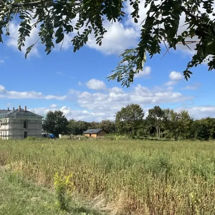 ERSTBEZUG, moderne Topwohnung! Erdwärmenutzung! Gartenanteil! Hochwertige Küche inkludiert! - Bild 3