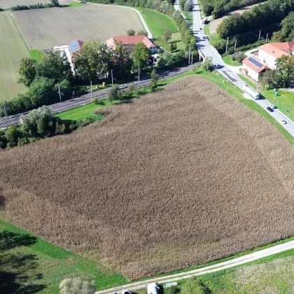 Betriebsbaugrundstück (B) I Gewerbepark Wallern an der Trattnach I 24.000 m²​​​​​​​ I ideale Verkehrsanbindung I Baubewilligung bereits vorhanden! - Bild 2