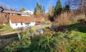 Original saniertes Landhaus  Nähe Litschau und Heidenreichstein