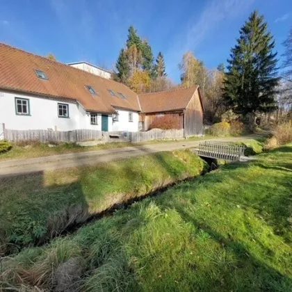 Original saniertes Landhaus  Nähe Litschau und Heidenreichstein - Bild 3