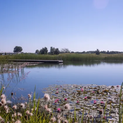 ** Herrliche Grundstücke mit Seezugang in idyllischem Ambiente !  595/112 - WOHNEN - REITEN - GOLFEN ** PROVISIONSFREI - Bild 3