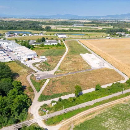 ** Betriebsbaugrund in perfekter Lage - Gewerbepark Nord Ebreichsdorf ** - Bild 2