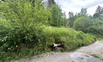 Leistbares Baugrundstück in ruhiger Lage in Reith bei Seefeld