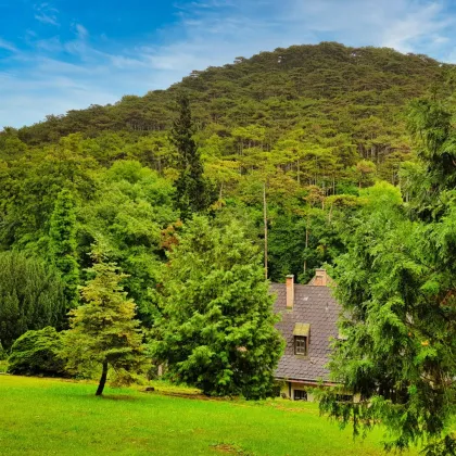 Außergewöhnliche Villa in absolut ruhiger Waldrandlage I Rund um Natur pur nahe Lainzer Tiergarten I Ausbauen+sanieren - Bild 2