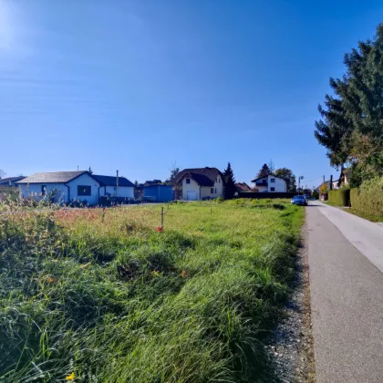 Erstbezugs-Haus südlich von Graz. - Baustart erfolgt! - Sichern Sie sich jetzt Ihr Traumhaus. - Bild 3