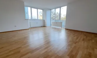 Blick auf die Donau - traumhafte 2-Zimmer-Wohnung!