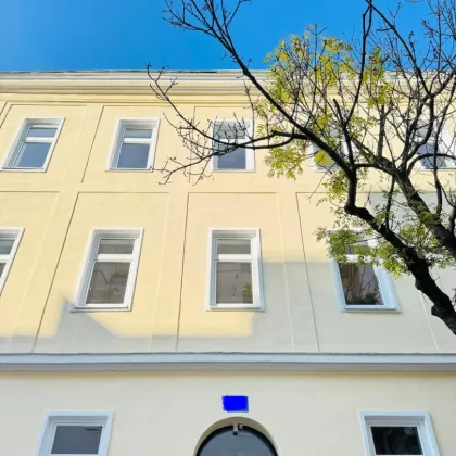 Charmante Erstbezugs- 2-Zimmer-Wohnung in einem generalsanierten Altbauhaus mit einem eigenen Gartenabteil zur exklusiven Nutzung. - Bild 3