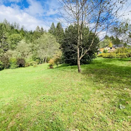 Weißkirchen: Idyllisches Baugrundstück im Grünen mit vielfältigen Gestaltungsmöglichkeiten - Bild 3