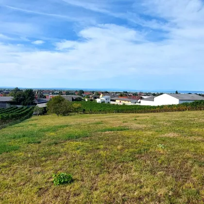 7700m² Panorama & Villenlage mit Blick über den gesamten Neusiedlersee !! - Bild 3