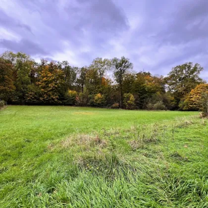 Fern ab von der Hektik der Stadt, direkt am Waldrand wohnen und entspannen- Nur 500m zur Wiengrenze!!! - Bild 2