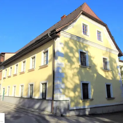 Sehr gepflegtes und schönes Herrenstadthaus mit über 300-jähriger Adelsgeschichte in Heidenreichstein im idyllischen Waldviertel! - Bild 2