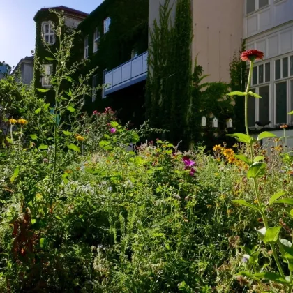 Grünruhelage nahe Rudolfstiftung! Luxuriöse 3-Zimmer-Erstbezug-Dachterrassen-Wohnung mit Outdoor-Pool in historischem Gebäude - Bild 3